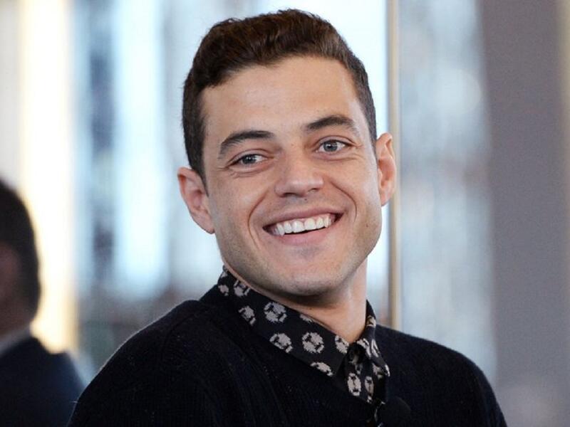 درس مالك التمثيل فى جامعه ايفانسفيل وبدأ مسيرته الفنية في هوليود مثل في العديد من الأعمال بأدوار صغيره قبل اتخاذ دور كبير له لأول مره في فيلم ليلة في المتحف (2006).