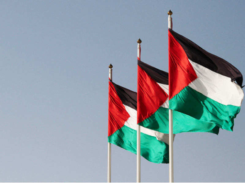 بعد قيام العديد من الدول العربية باضاءة علم فرنسا على ابرز معالمها تضامناً مع احداث باريس قام احد رواد موقع تويتر بنشر فيديو يظهر منع علم فلسطين في احد مبارايات كرة السلة في الامارات مستنكراً هذا التصرف.

