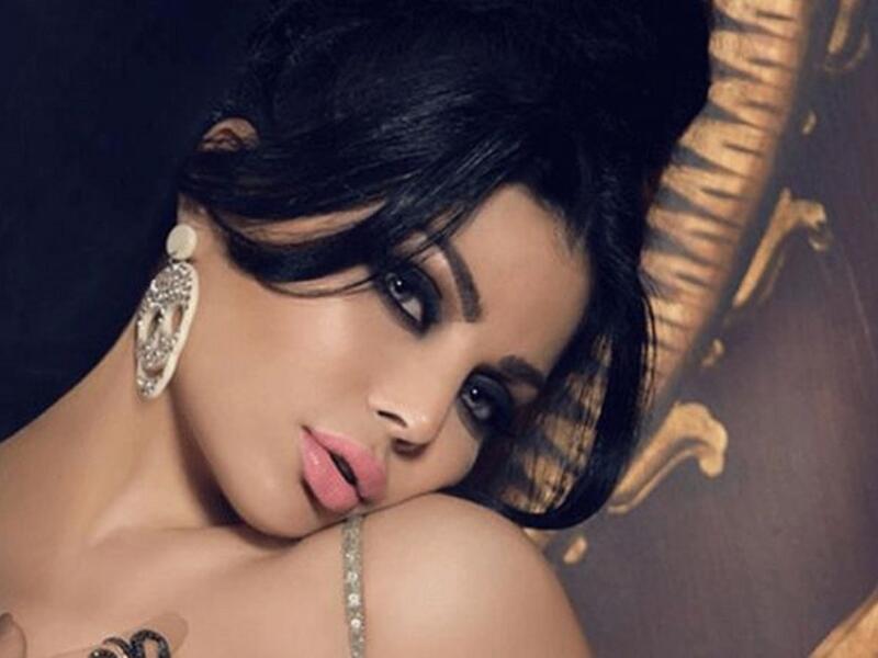 "هولكز" فانز الفنانة اللبنانية هيفاء وهبي.