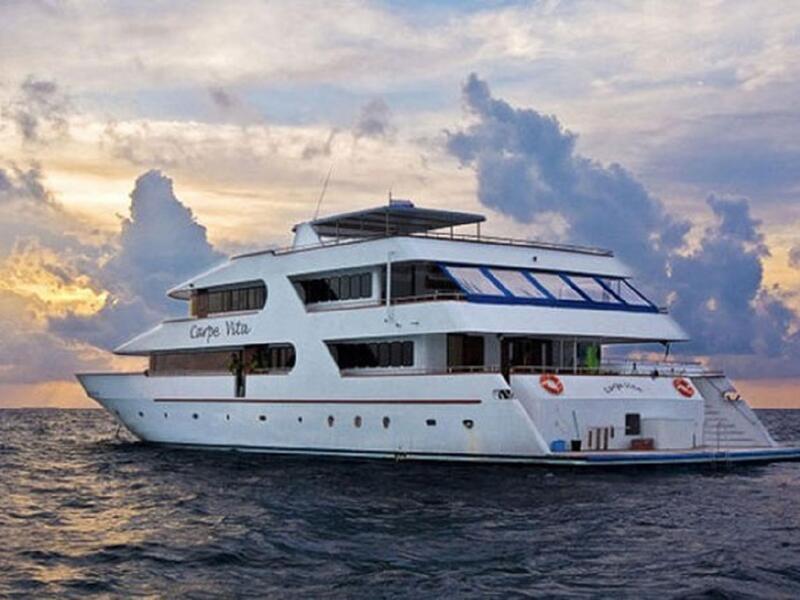 "كاربي فيتا إكسبلورر" توفر تجارب الغوص على متن قوارب الـ"Liveaboard"، أو "الفنادق العائمة" فرصة استثنائية لاستكشاف عالم المحيطات، وأحد أفضل هذه القوارب وأكثرها رفاهية هو يخت "كاربي فيتا" الذي يبلغ طوله 125 قدماً، ويبحر في جزر المالديف.