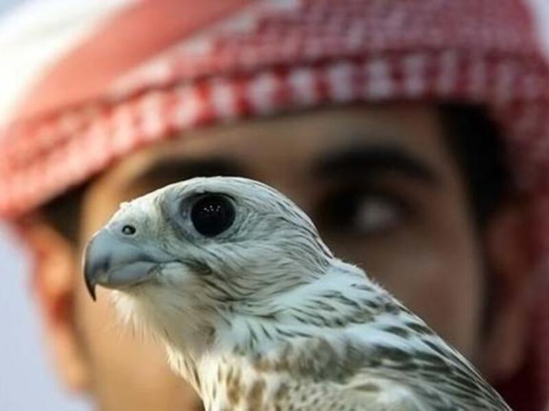 The United Arab Emirates will be offering a new attraction for its tourists as it opens its first hunting resort next September.