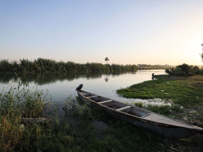 Iraq is shutting down fish farms to deal with water stress