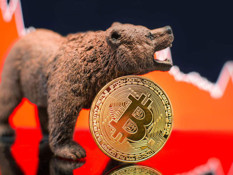 How to Survive the Crypto Bear Market