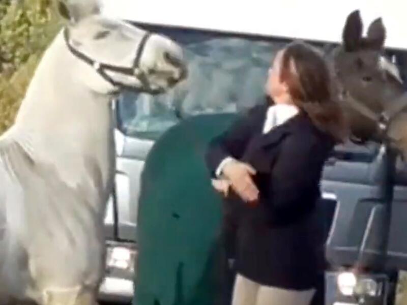 معلمة بريطانية تركل وتصفع حصانا بلا رحمة (فيديو)