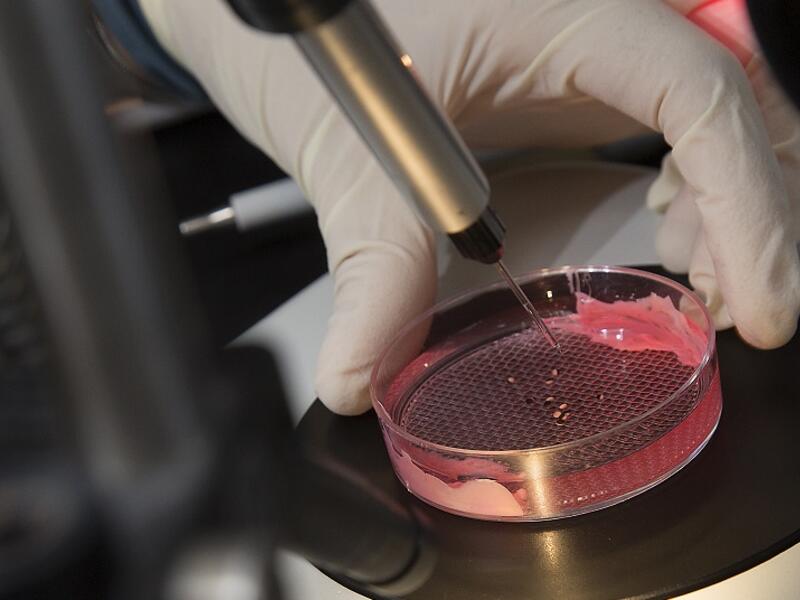 Qatari Students Learn Research Skills