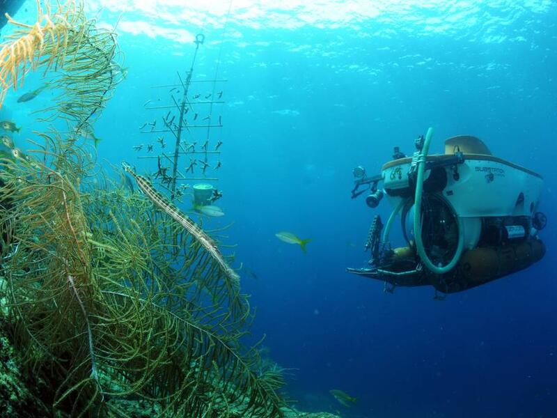 خندق ماريانا: أعمق نقطة في جميع محيطات العالم، معروف باسم Challenger Deep، ويبلغ عمقه المذهل 35787 قدمًا تحت السطح ويمكن مشاهدته من نافذة الطائرة، وهو عميق لدرجة أن تستطيع إسقاط جبل إفرست بداخله.