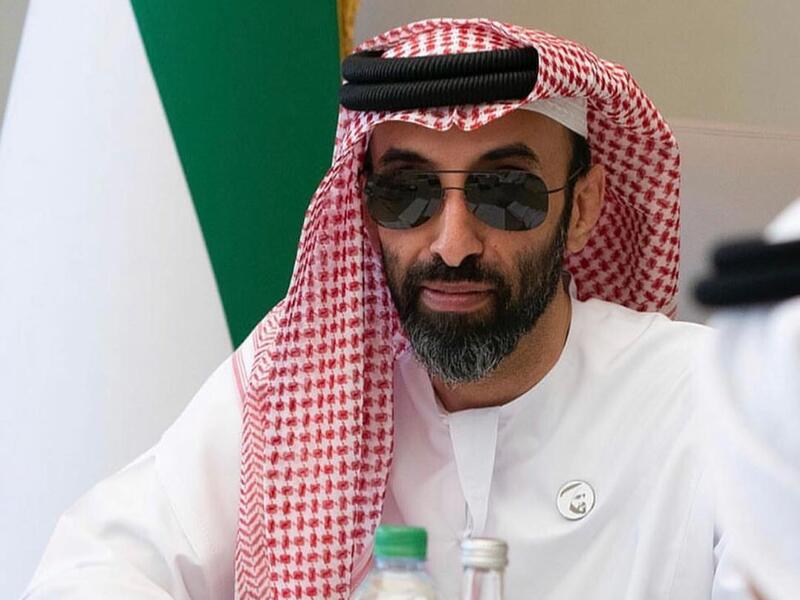 طحنون بن زايد 