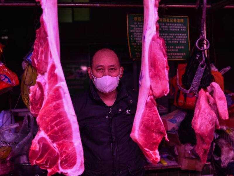 China: Trade, Consumption of Wild Animals No More Allowed