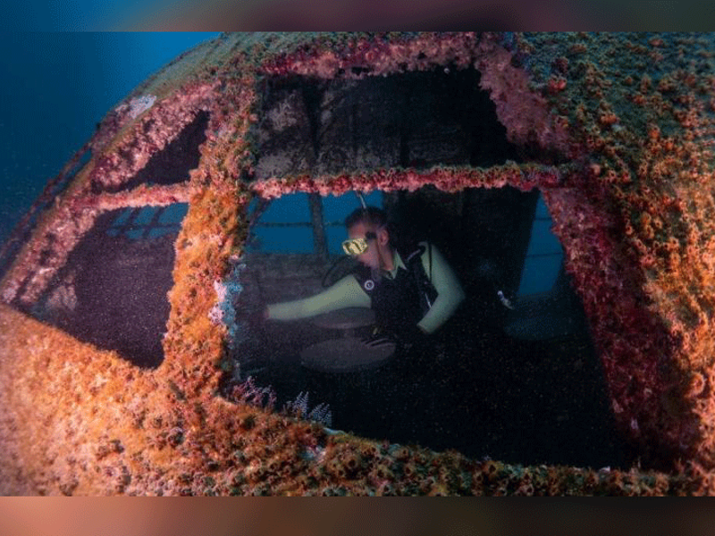 Prior to the opening, the park was inspected by a group of diving professionals, who ensured all safety requirements are fully met to guarantee a safe experience for the public.