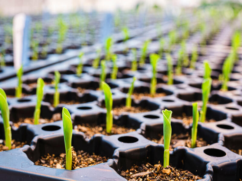 Saudi AgTech Firm Secures $10 Million In Investments