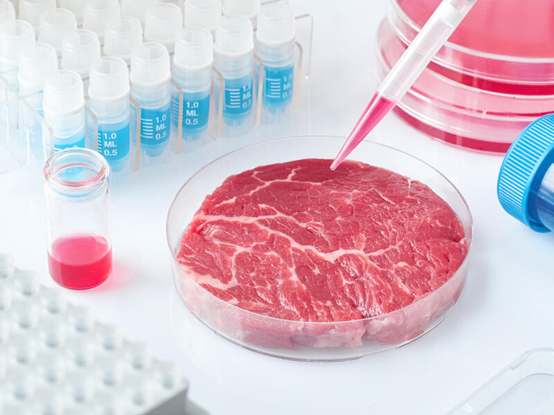 Eat Just to Start Selling Lab-Grown Meat in Singapore