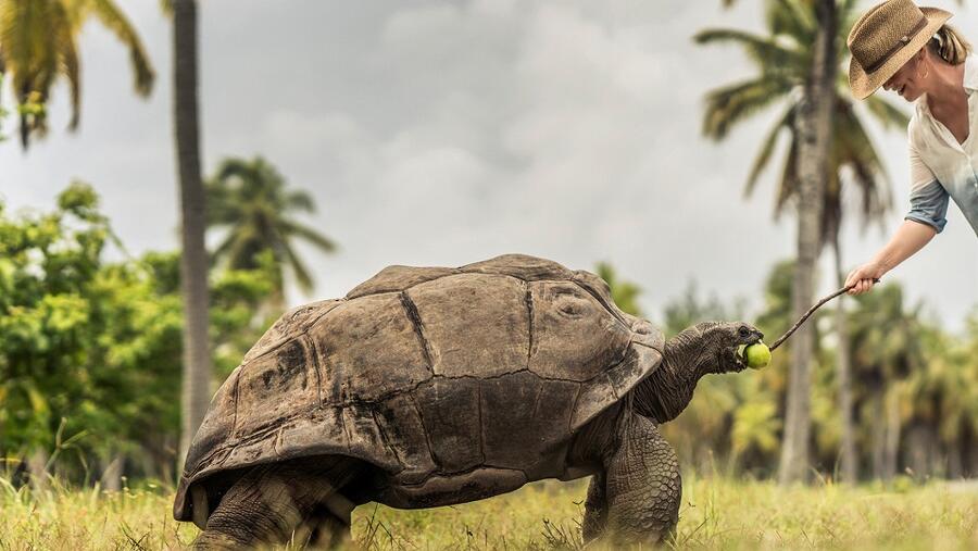 أجمع المشاركون من جميع الفئات العمرية ضمن الاستبيان بأن قائمة أهدافهم أثناء السفر، تشمل اختبار تجارب مميّزة سواء كبيرة أو صغيرة تجعلهم يشعرون بالتشويق لاستكشاف ثقافات مختلفة