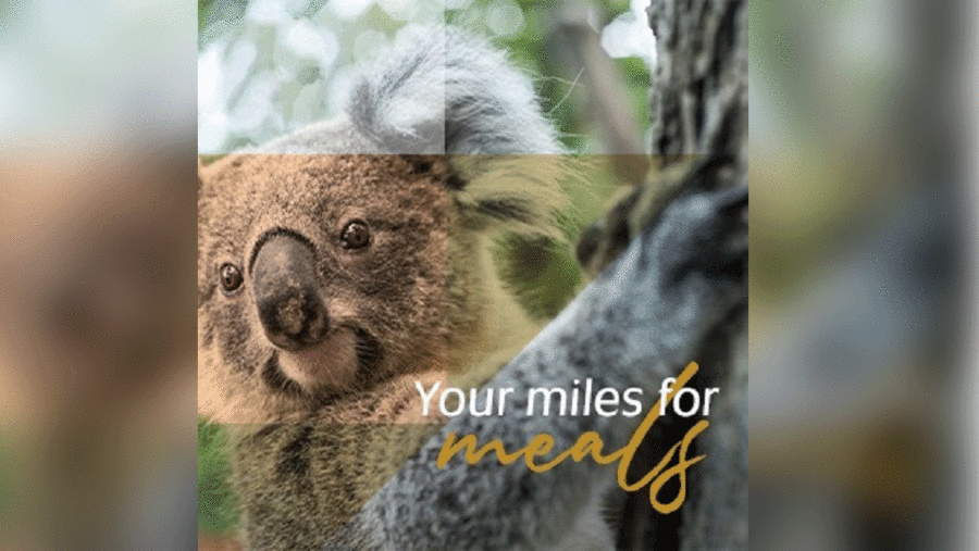  تساهم شركة الاتحاد للطيران  بالتبرع مقابل كل ميل يتم التبرع به لدعم عمليات الإغاثة