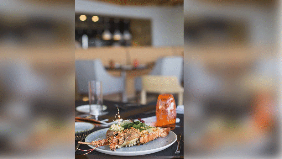 يحرص فندق قصر البستان، ريتز – كارلتون دائماً على إثراء ضيوفه بتشكيلة متنوعة من التجارب الفريدة على مدار العام.