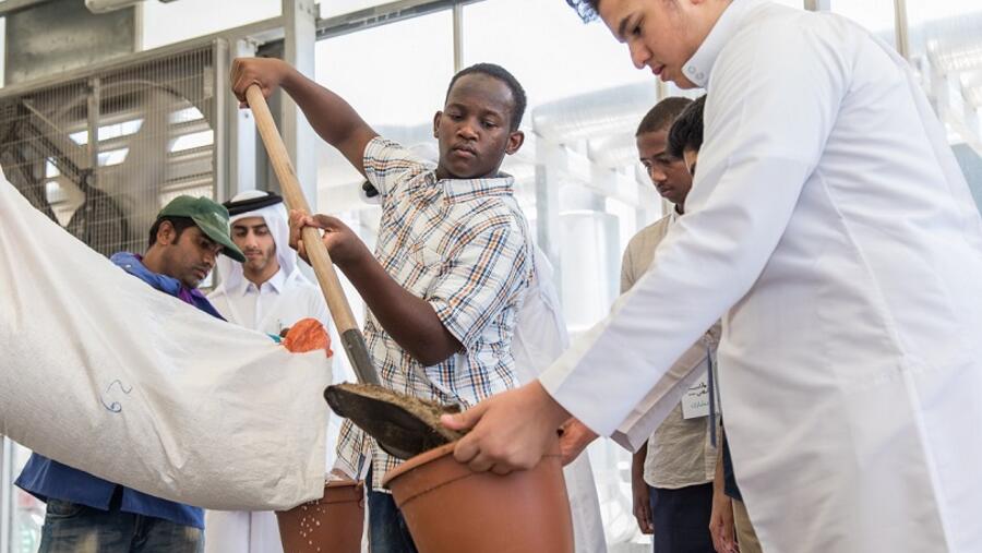 مقال رأي: أهمية التوجيه المهني في زمن الكورونا (كوفيد-19)