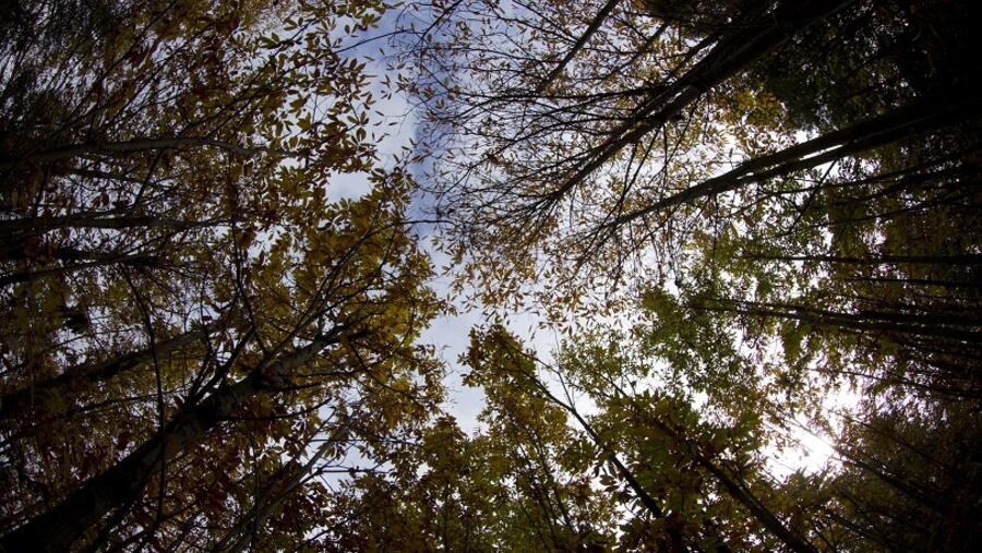 Leading print and imaging solutions company highlights commitment to sustainability during the quarantine period Teams up with Color Code Waste Treatment in Dubai  