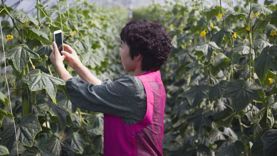 دراسة جديدة من إريكسون:عالم أكثر استدامة بفضل ابتكارات قطاع تكنولوجيا الاتصالات