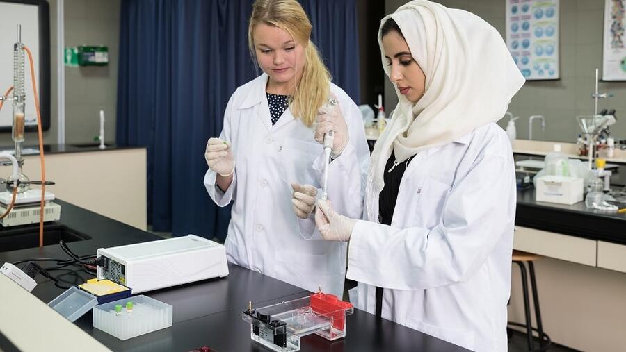 جامعة أبوظبي تطلق برنامج "سفراء الصحة والسلامة