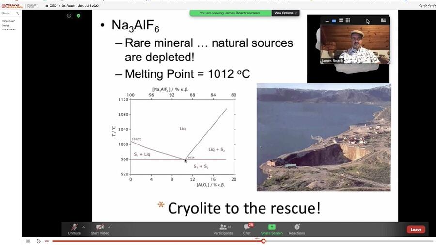 WCM-Q Virtual Summer Program Reaches Out to Global Talent