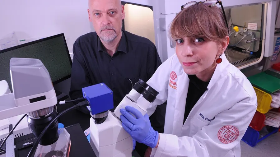WCM-Q Research Sheds New Light on Treatment-Resistant Cancers
