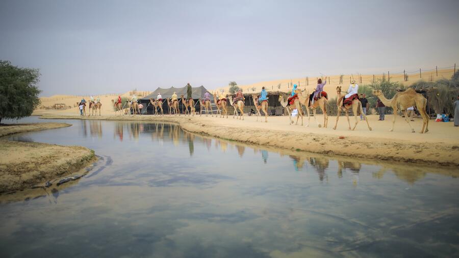 Dubai Tourism Provides Leading Tour Operators Key Insights Into New Executive Council Resolution on Tourist Camps