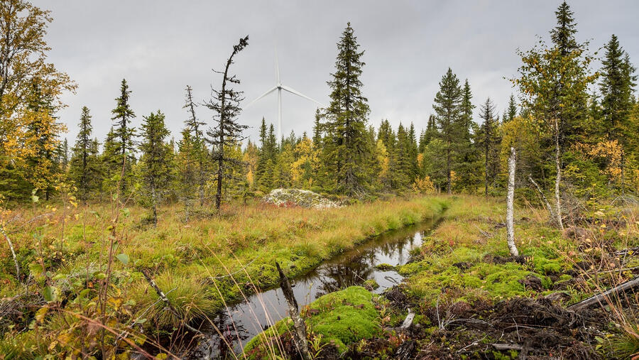 Siemens Gamesa Strengthens Its Partnership With European Energy To Supply Wind Farms in Sweden and Poland