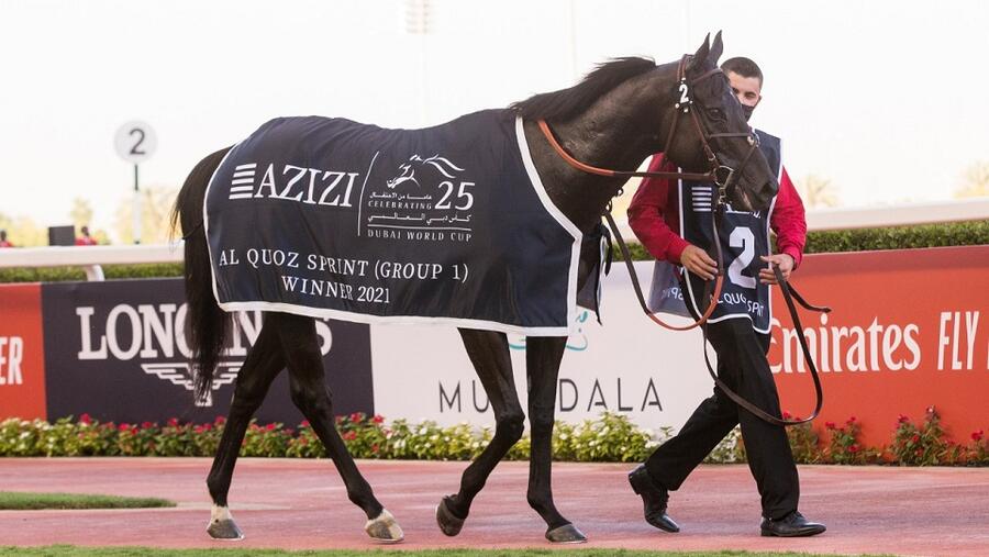 عزيزي للتطوير العقاري ترعى "القوز سبرينت" ضمن بطولة كأس دبي العالمي الخامسة والعشرين