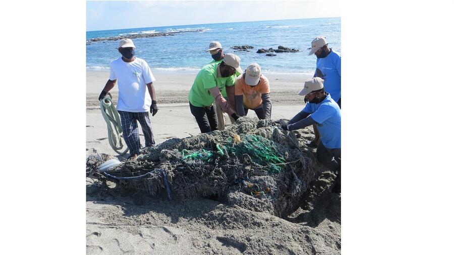 جمعية البيئة العُمانية تحتفل بنجاح حملتها لتنظيف شواطئ مصيرة من شباك الصيد المهجورة