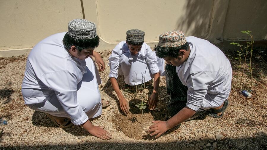 جمعية البيئة العُمانية تختتم حملتها لاستزراع أكثر من 2,600 شجرة لبان بالتعاون مع شركة نيلز يارد للمستحضرات الطبية