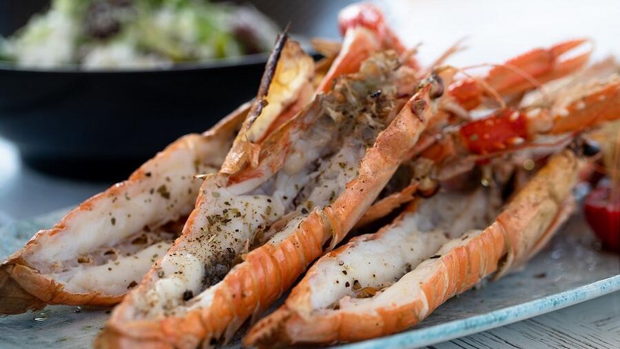 مجموعة جميرا تدعو ضيوفها لتذوق أشهى النكهات واكتشاف الأطباق العالمية المحضرة خلال "أسبوع دبي للمطاعم"