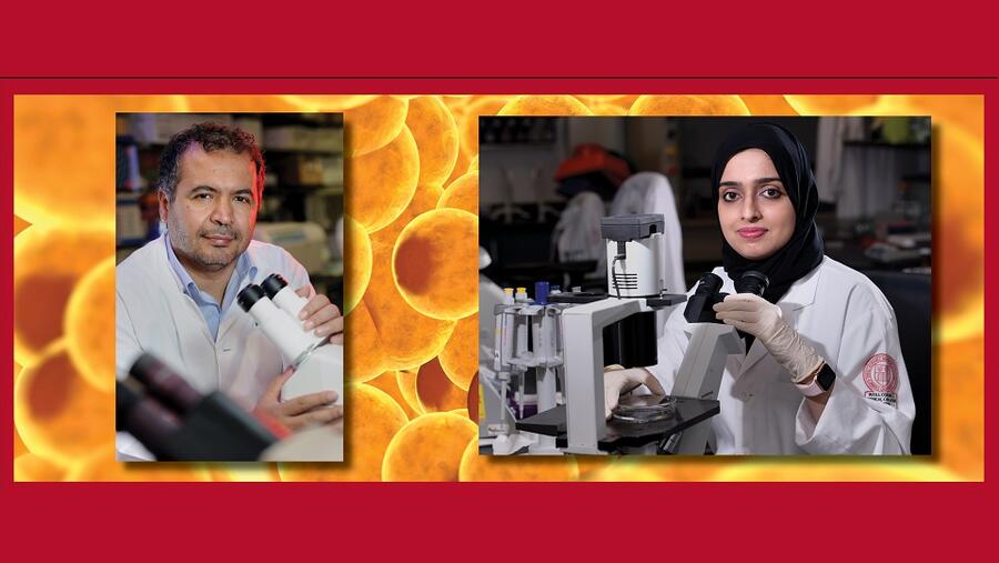 باحثو وايل يستقصون آليات الشيخوخة المبكرة للخلايا الدهنية عند المصابين بالسمنة