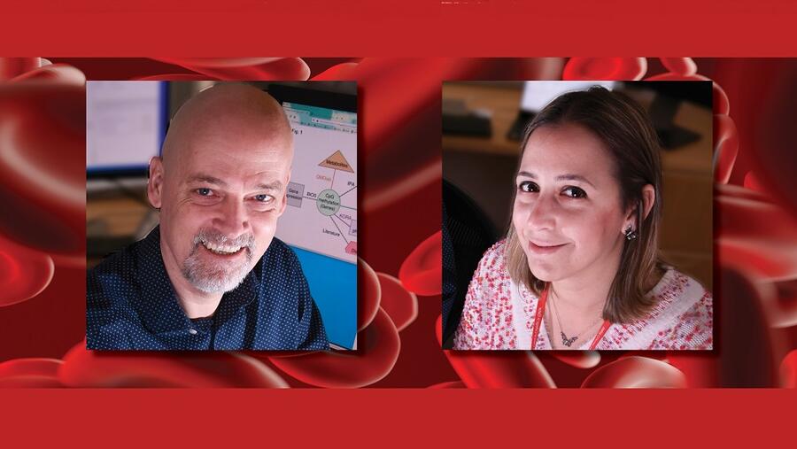 باحثو وايل كورنيل للطب - قطر يدرسون دور البروتينات في السمنة