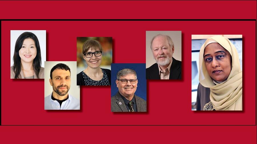 وايل كورنيل للطب قطر تعقد ورشة عبر الإنترنت عن البحوث ذات المنهجيات المختلطة 