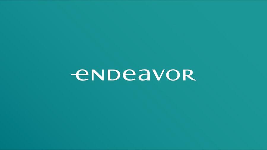Endeavor Egypt Welcomes Brimore To Its Network
