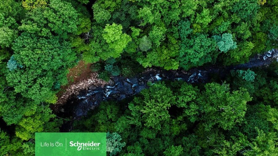 شنايدر إلكتريك تعلن سلسلة من الإجراءات والتعهدات لمكافحة مشكلة فقدان التنوع البيولوجي العالمي