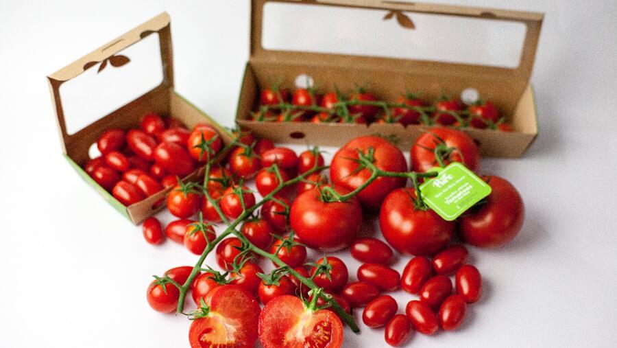 تقنية هانيويل للزراعة المستدامة تعزز أعمال بيور هارفست للمزارع الذكية في دولة الإمارات