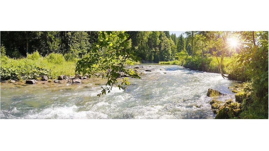 نستله ووترز تسعى للتأثير إيجاباً في منظومة المياه عبر المساعدة في تجديد أنظمة المياه المحلية   