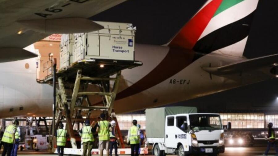  الإمارات للشحن الجوي تنقل 247 خيلاً من لييج إلى طوكيو