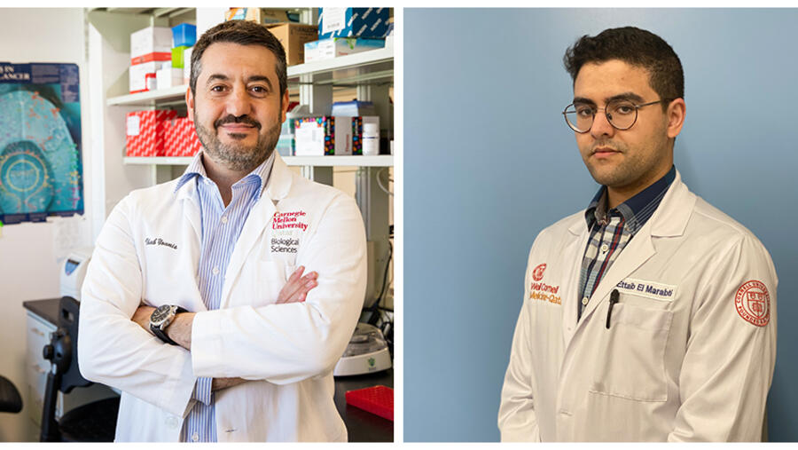 باحثو جامعة كارنيجي ميلون في قطر ينشرون أول مراجعة شاملة لعملية ربط جزيئيات الإنترون