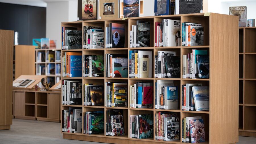 القراءة وبناء مجتمع المعرفة في الإمارة