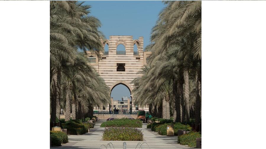 دار نشر الجامعة الأمريكية بالقاهرة تنشئ  مجلس أعضاء هيئة التدريس لمراجعة مشروعات الكتب