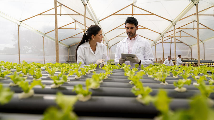 الاهتمام بالاستثمار المستدام في أعلى مستوياته على الإطلاق في دولة الإمارات