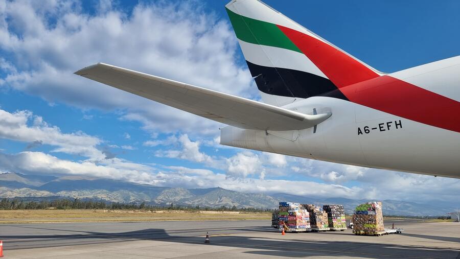 Love is in the air: The top 5 Valentine’s Day gifts that fly on Emirates SkyCargo