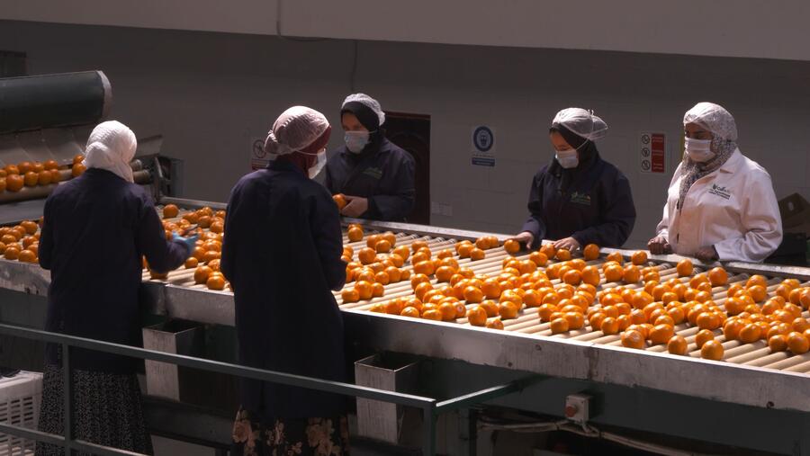 CNN’s Connecting Africa explores the food industry in Egypt