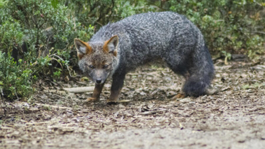 ‫التكنولوجيا من أجل كوكب أفضل: هل يمكن للتكنولوجيا حماية بيتنا؟