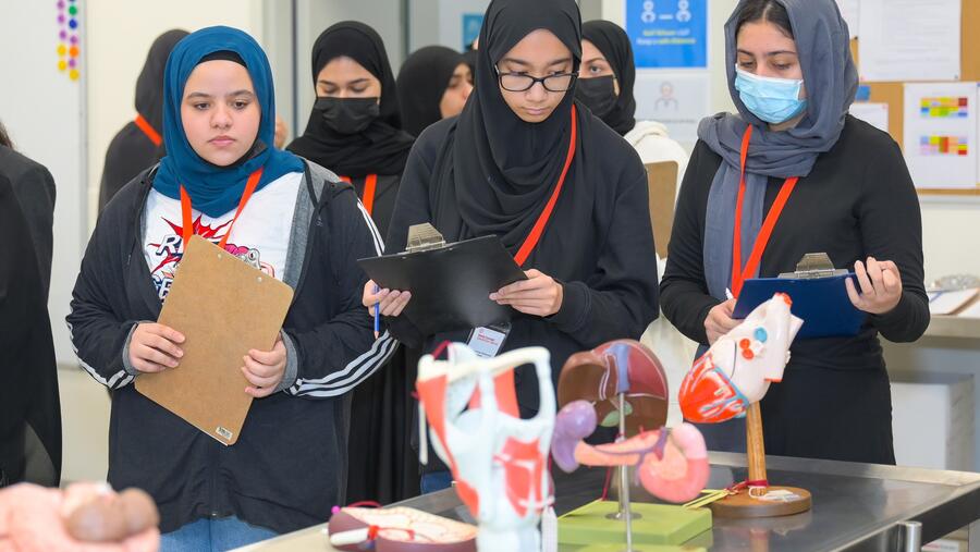 برنامجان صيفيان في وايل كورنيل للطب - قطر لطلاب المرحلة الثانوية المهتمين بالطب