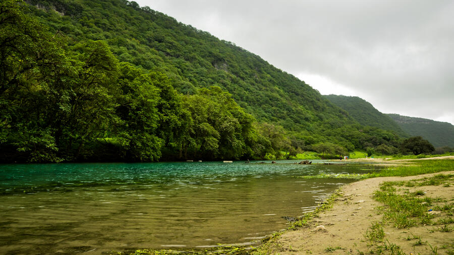 محافظة ظفار: وجهة استوائية فريدة في سلطنة عُمان