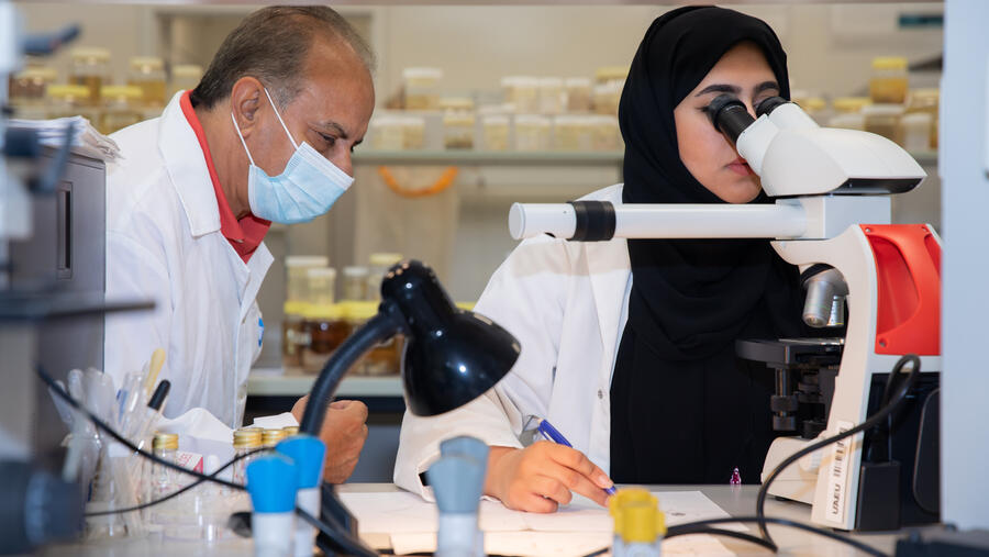 إنجاز علمي جديد على المستوى الدولي لجامعة الإمارات