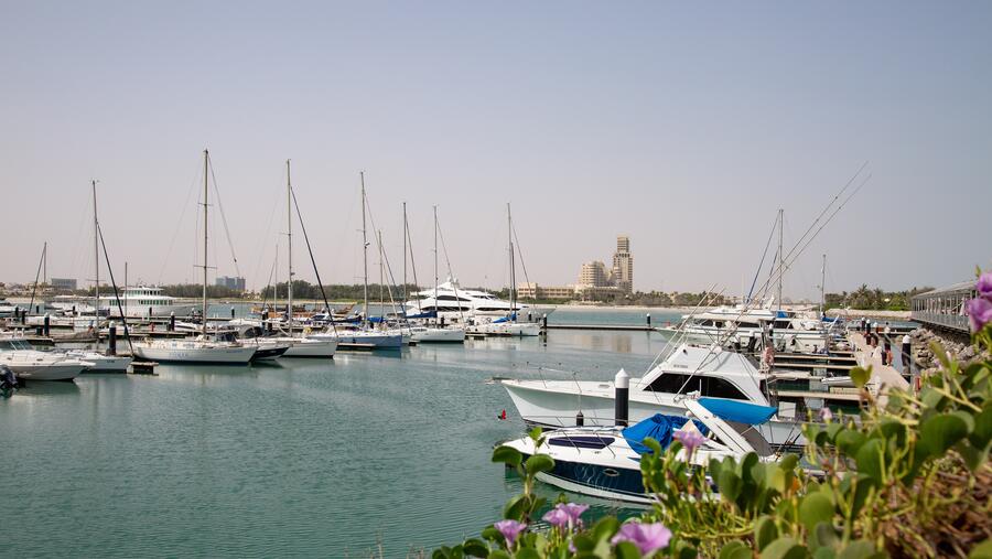 "الحمرا" تعلن إعادة تسمية "مرسى ونادي الحمرا لليخوت" تحت العلامة الجديدة "نادي اليخوت الملكي في رأس الخيمة"