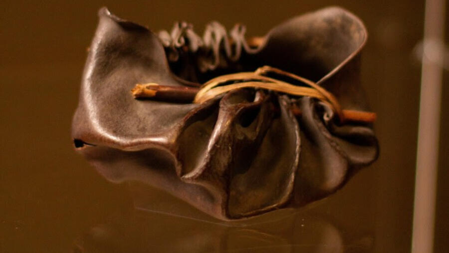 قطعة تراثية نادرة تعود إلى تسمانيا بعد 230 عاماً